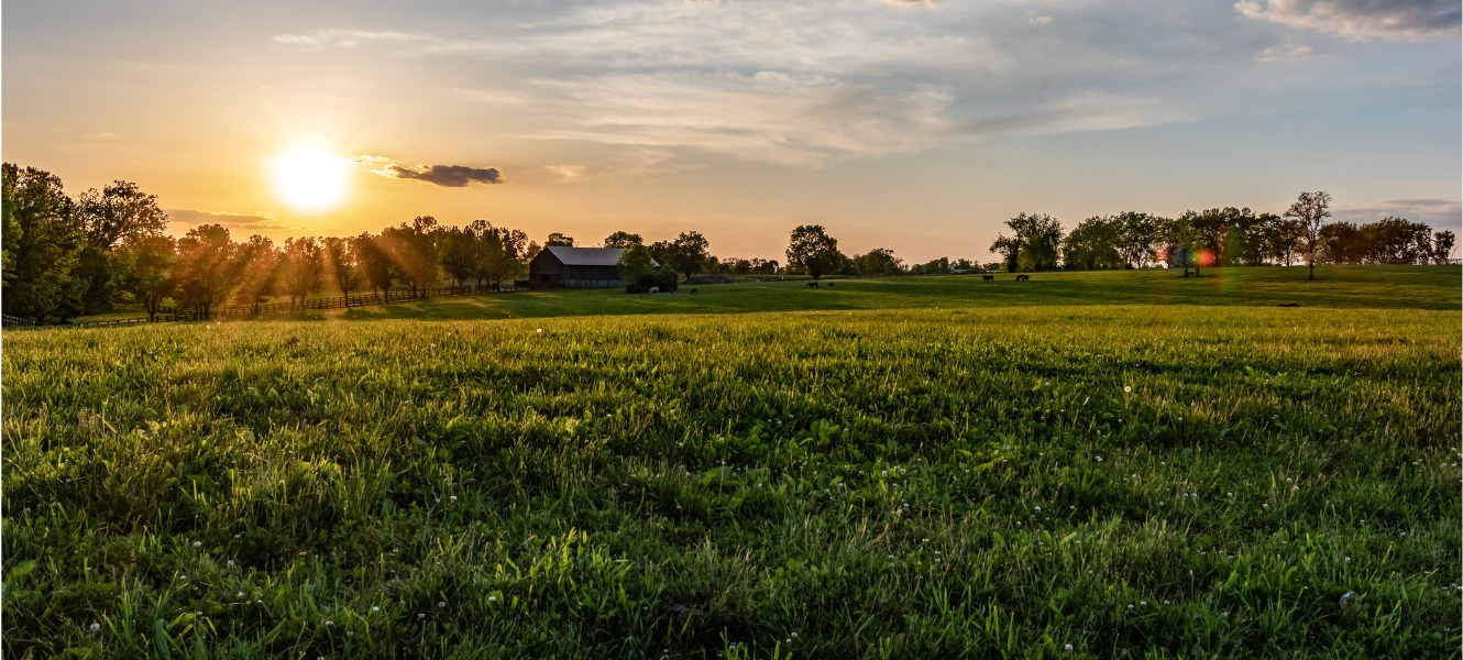 FNBOnline Farm landscape image. 