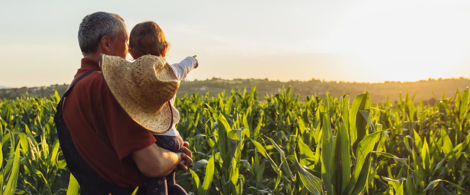 Farmer holding a toddler and looking out over a field of crops