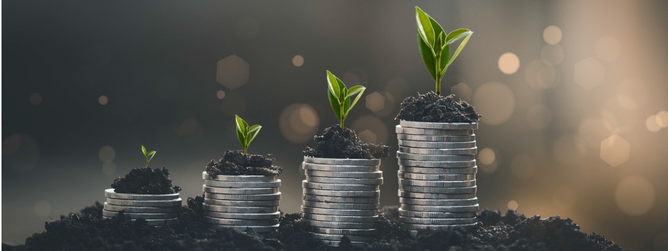 Plant growing on coins